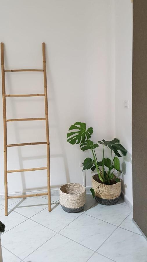 La Ceiba Speciosa Panzió Capaccio Kültér fotó